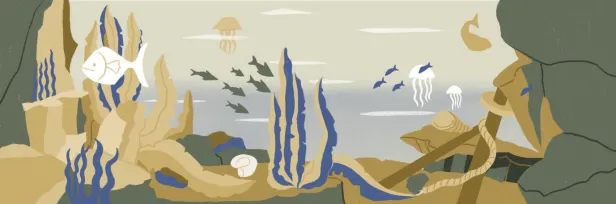 Mar á vista