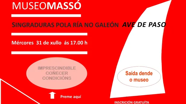 cartel da actividade