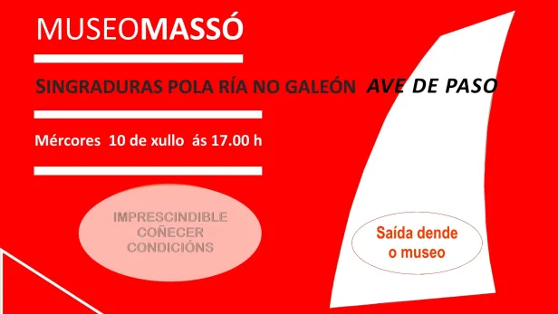 singradura Ave de Paso_10 xullo