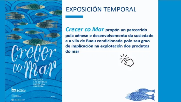 Crecr co mar_multimedia