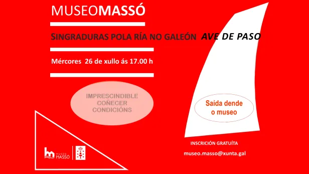 galeon26