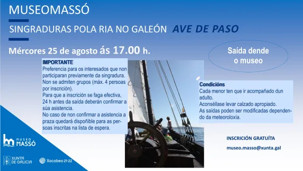 Singradura ave de paso 25 agosto