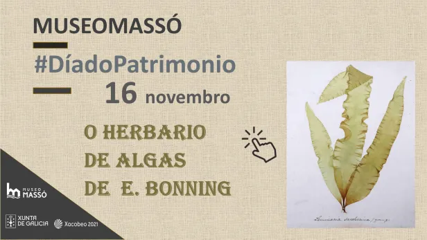 Herbario E.Bonning_ video