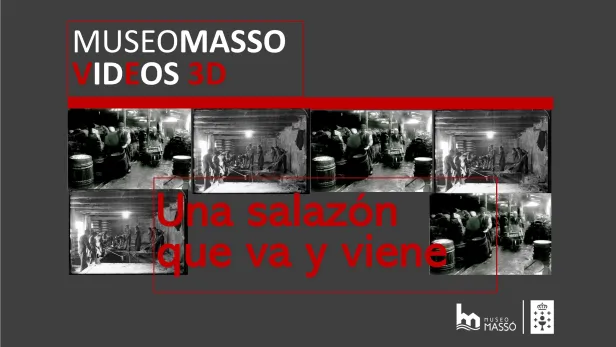 MMasso-Salazon