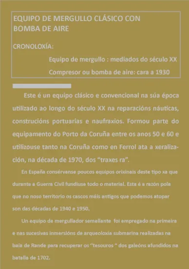 Cartel coa infografía