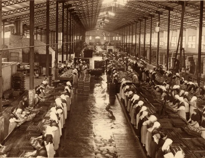 Interior da nave construída para modernizar a fábrica de conservas Massó Hermanos S.A. de Bueu (cara a 1926) Interior da nave construída para modernizar a fábrica de conservas Massó Hermanos S.A. de Bueu (cara a 1926)