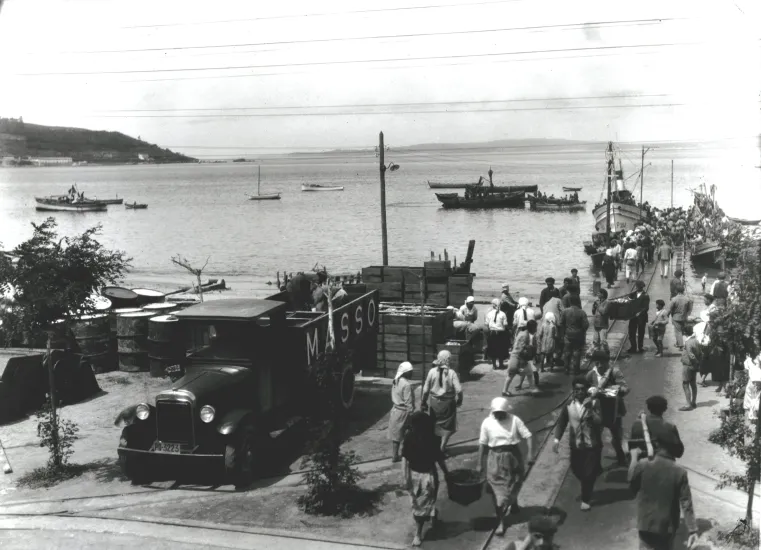 Descarga de pescado en el muelle de la conservera Massó de Bueu (hacia 1928)