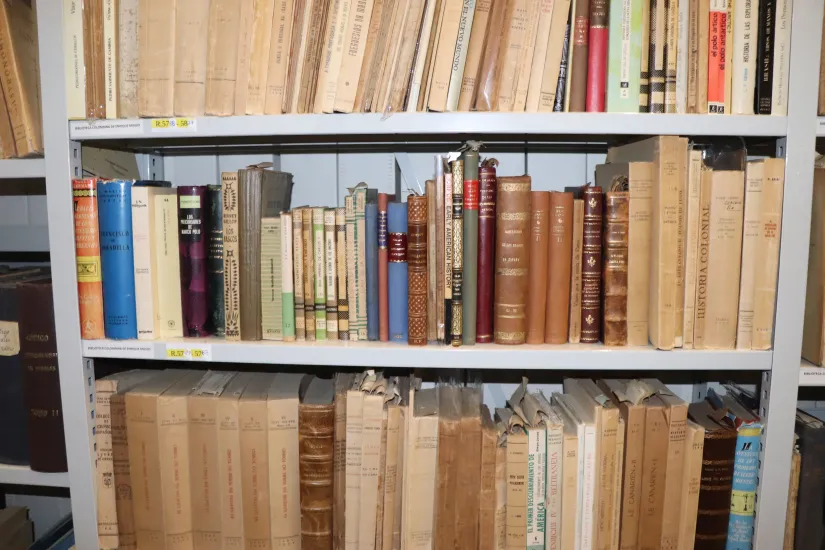 Biblioteca do Museo Massó