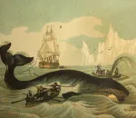 Ilustración gravada cunha escena da caza da balea (séculos XVIII-XIX)