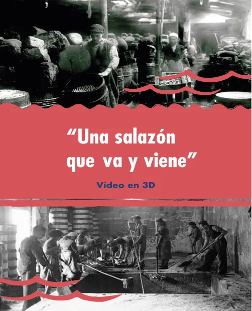 Video salazon